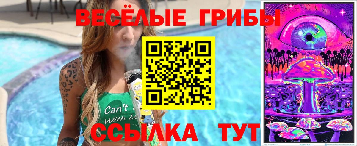 Галлюциногенные грибы Magic Shrooms  Вход с VPN  Ртищево 